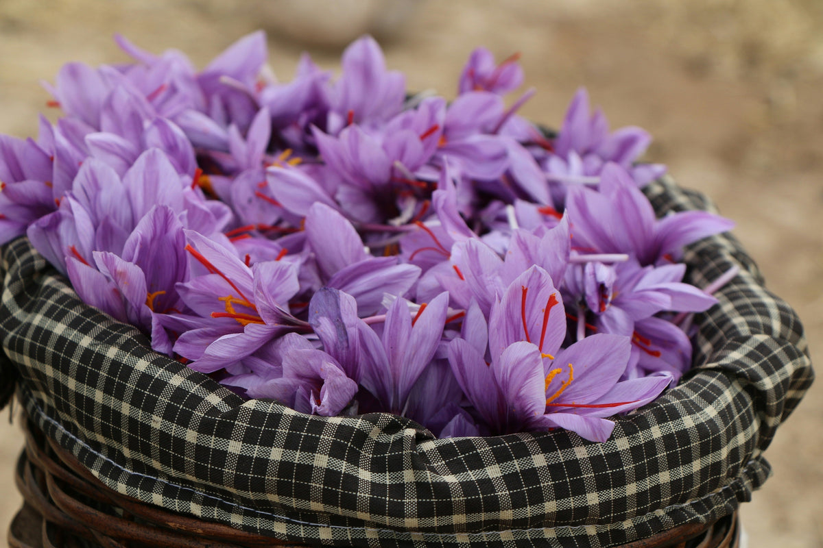Why Choose Afghan Saffron? Origin, Quality and Craft