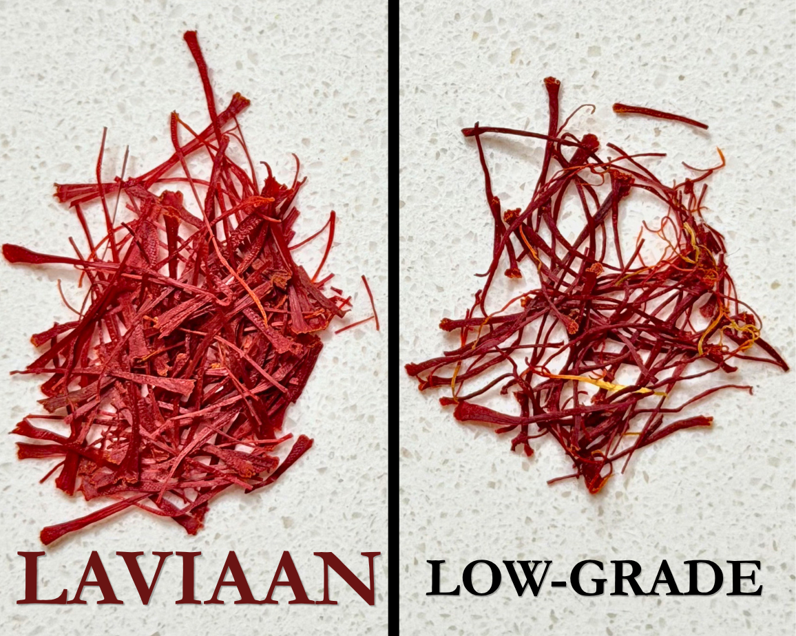 comparison of Laviaan saffron and low-grade saffron
